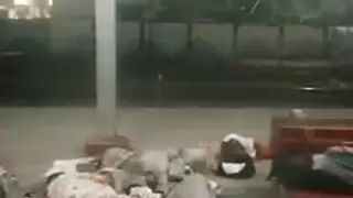 القذف الإناث تورم الهرة مسن