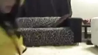 بورن منزلي xxx: امرأة عربية فاتنة تعرض صدرها الكبير