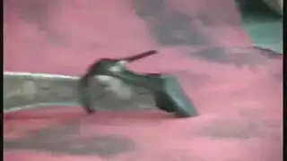 طبيب أريكة مدبوغ