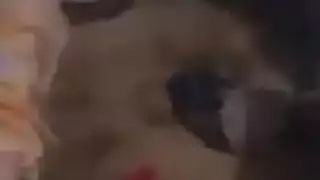 نيك ريمة الحار ينتشر بعد كاميرا خفية للعميل