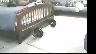 فتاة شقراء مكممة وتتعرض للجماع في الوجه بقضيب أسود كبير