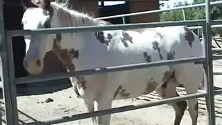 مهبل الآنسة طوكيو الضيق محشو بقضيب اللحم الصلب للطالب