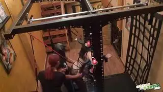 تحلم بالجنس الخشن: كارول تمارس الفاحشة مع فحل الحي