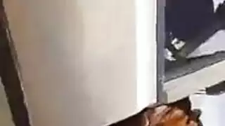 إباحية صحراوية متطرفة نيك كلاسيكي غير مقطع