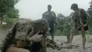 سمنة خمر الإيطالي رباعية