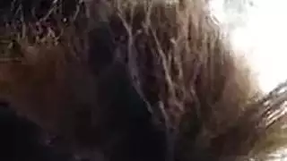 أنيميشن إكس إكس إكس: أثداء كارين كابور الكبيرة وإنهاء داخلي