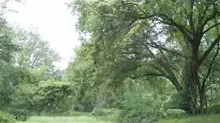 قصص نيك بنات مطلقات محارم