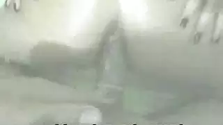 بنات تأخذ قضيب الحيوان