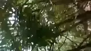 الانتقال من الأصابع إلى القضيب في كسها المصري المبلل