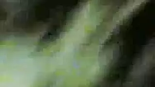 سمر العاهرة تمتلئ بالسائل المنوي لرئيس زوجها في فيديو مسرب