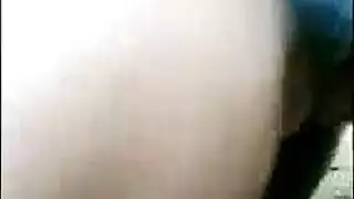 حصانان أسودان في أوجي مملكة الحيوانات