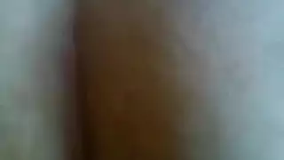 سكس عربى نار نيك جارتى المطلقة ميادة فى كسها عرب نار