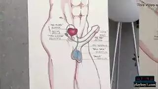 interracial porn: bbc fills a tight pussy