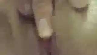 عاهرتان جامحتان تُطلى بالسائل المنوي