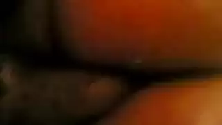 ساكس تونسي شيخة عربي